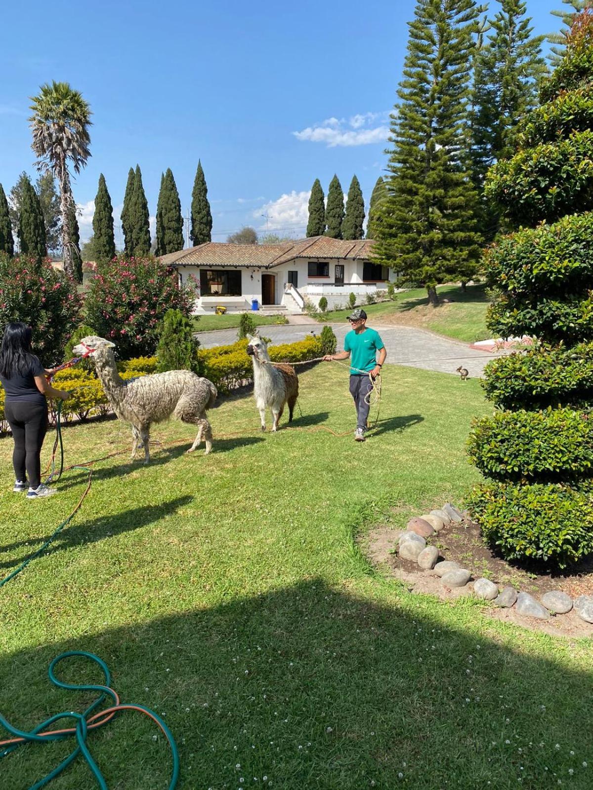 Quito Airport Suites Hotel Tababela Dış mekan fotoğraf